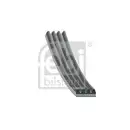 FEBI BILSTEIN 178934 Keilrippenriemen für FIAT