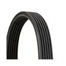 CONTINENTAL CTAM 6DPK1841 Keilrippenriemen