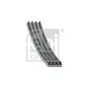 FEBI BILSTEIN 28812 Keilrippenriemen für RENAULT