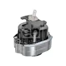 FEBI BILSTEIN 180768 Motorlager für BMW