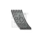 FEBI BILSTEIN 176708 Keilrippenriemen für NISSAN, RENAULT, OPEL, MERCEDES-BENZ
