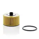 Ölfilter Mann-filter HU 10 002 Z für Mercedes Benz für Mercedes Benz für Nissan
