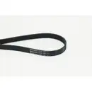 CONTINENTAL CTAM 6PK1180 Keilrippenriemen