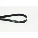 CONTINENTAL CTAM 6PK1180 Keilrippenriemen