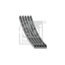 FEBI BILSTEIN 28838 Keilrippenriemen