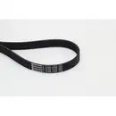 CONTINENTAL CTAM 6PK1125 Keilrippenriemen