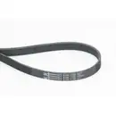 CONTINENTAL CTAM 6PK1130 Keilrippenriemen