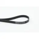 CONTINENTAL CTAM 6PK1130 Keilrippenriemen