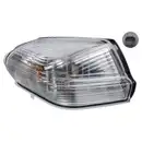 FEBI BILSTEIN 100875 Spiegelblinker