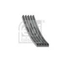 FEBI BILSTEIN 28856 Keilrippenriemen