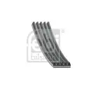 FEBI BILSTEIN 28856 Keilrippenriemen für FIAT, LANCIA, MAZDA, OPEL, TOYOTA
