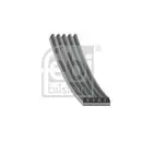 FEBI BILSTEIN 28856 Keilrippenriemen für FIAT, ABARTH, LANCIA, OPEL, HONDA
