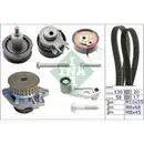 INA 530 0089 31 Wapu + ST Kit