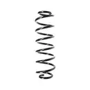 2x Spidan Fahrwerksfeder 49499 Hinterachse VW Golf IV