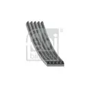 FEBI BILSTEIN 28875 Keilrippenriemen