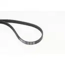 CONTINENTAL CTAM 5PK1441 Keilrippenriemen für MERCEDES-BENZ