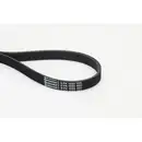 CONTINENTAL CTAM 6PK1555 Keilrippenriemen