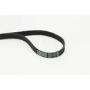 CONTINENTAL CTAM 6PK1733 Keilrippenriemen