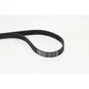 CONTINENTAL CTAM 6PK1733 Keilrippenriemen