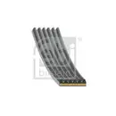 FEBI BILSTEIN 184954 Keilrippenriemen für PEUGEOT, CITROËN, DS