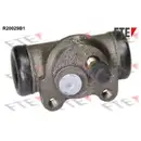 FTE R20029B1 Radzylinder