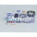 Montagesatz Lader Motair Turbo 440500