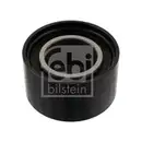 FEBI BILSTEIN 19240 Umlenkrolle für MAN, CITROËN, RENAULT, PEUGEOT, NEOPLAN