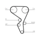 CONTINENTAL CTAM CT1065WP2 Zahnriemen Kit + Wasserpumpe