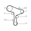 CONTINENTAL CTAM CT1168 Zahnriemen