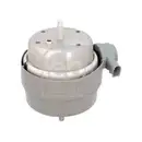 FEBI BILSTEIN 184089 Motorlager