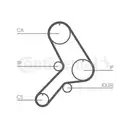 CONTINENTAL CTAM CT619K1 Zahnriemen Kit