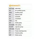 CONTINENTAL CTAM 6PK1020 EXTRA K1 Keilrippenriemen Kit