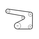 CONTINENTAL CTAM 5PK1355K1 Keilrippenriemen Kit