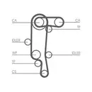 CONTINENTAL CTAM CT957WP1 Zahnriemen Kit + Wasserpumpe