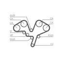 CONTINENTAL CTAM CT1052 Zahnriemen