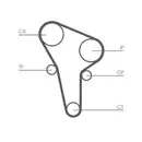 CONTINENTAL CTAM CT513K1 Zahnriemen Kit
