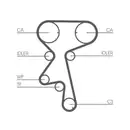 CONTINENTAL CTAM CT873K1 Zahnriemen Kit