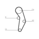 CONTINENTAL CTAM CT908K1 Zahnriemen Kit