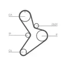 CONTINENTAL CTAM CT1038 Zahnriemen
