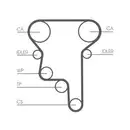 CONTINENTAL CTAM CT1023 Zahnriemen