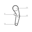 CONTINENTAL CTAM CT1053 Zahnriemen