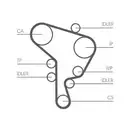 CONTINENTAL CTAM CT1044 Zahnriemen