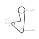 CONTINENTAL CTAM CT1066K1 Zahnriemen Kit