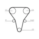 CONTINENTAL CTAM CT1069 Zahnriemen