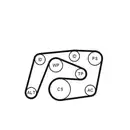 CONTINENTAL CTAM 6PK2260WP3 Keilrippenriemen Kit + Wasserpumpe