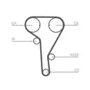 CONTINENTAL CTAM CT1077 Zahnriemen