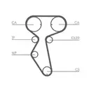 CONTINENTAL CTAM CT887 Zahnriemen