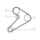 CONTINENTAL CTAM CT921 Zahnriemen