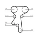 CONTINENTAL CTAM CT924 Zahnriemen