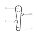 CONTINENTAL CTAM CT942 Zahnriemen